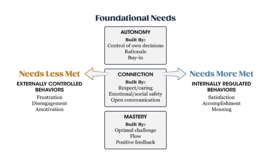 A diagram of the foundational needs and process met.